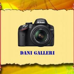 Dani Gallery